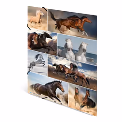 HERMA 19217 folder Cardboard Multicolour A3