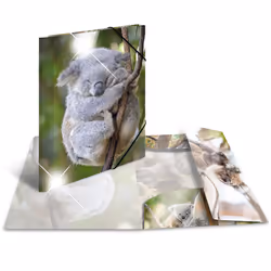 HERMA 19323, Conventional file folder, A4, Polypropylene (PP), Multicolour, Glossy, Portrait