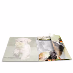 HERMA 19327 folder Polypropylene (PP) Multicolour A4