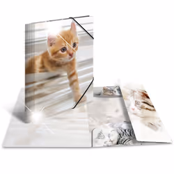 HERMA 19328, Conventional file folder, A4, Polypropylene (PP), Multicolour, Glossy, Portrait