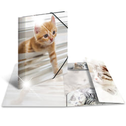 HERMA 19328 folder Polypropylene (PP) Multicolour A4