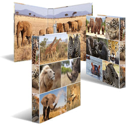 HERMA 19476 ring binder A4 Multicolour