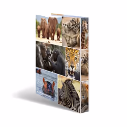 HERMA 19476 ring binder A4 Multicolour
