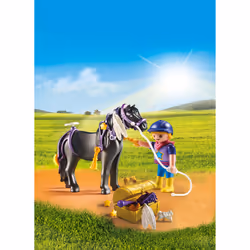 Playmobil Country 6970 toy playset