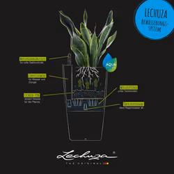 Lechuza CUBICO Color 40 Self Watering Planter Large Garden Flower Plant Pot Plastic Indoor/Outdoor Floor Planter - Additional view 6