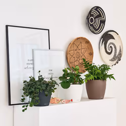 LECHUZA CLASSICO Color Round Poly Resin Self-watering Planter - Sand Brown, D21 H20 cm
