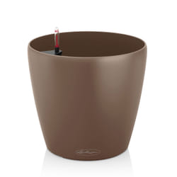 LECHUZA Classico Color 21 Indoor Pot planter Freestanding Polypropylene (PP) Brown