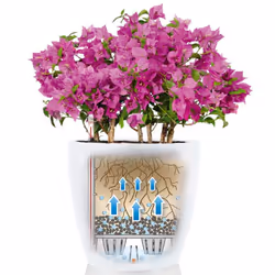 LECHUZA Planter Classico Color 28 ALL-IN-ONE White High Gloss Plant Pot 13190