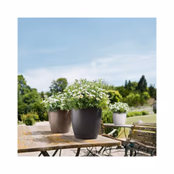 LECHUZA CLASSICO Color Round Poly Resin Self-watering Planter - Sand Brown, D28 H26 cm