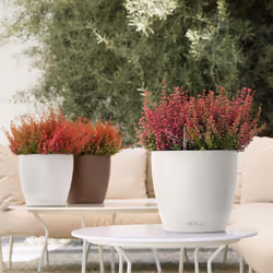 LECHUZA CLASSICO Color Round Poly Resin Self-watering Planter - Sand Brown, D28 H26 cm