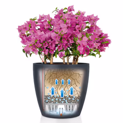 LECHUZA CLASSICO Color 28 Indoor Pot planter Freestanding Recycled plastic Brown, Sand - Additional view 7