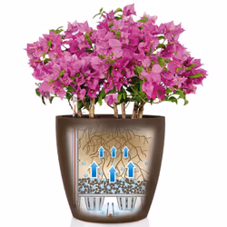 LECHUZA CLASSICO Color 28 Nutmeg Poly Resin Table Self-watering Planter with Substrate D28 H26 cm