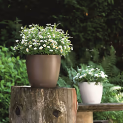 LECHUZA CLASSICO Color 28 Nutmeg Poly Resin Table Self-watering Planter with Substrate D28 H26 cm