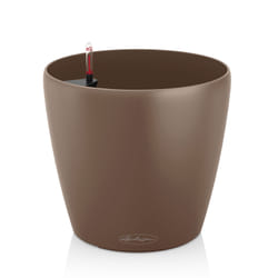 LECHUZA CLASSICO Indoor/outdoor Pot planter Freestanding Polypropylene (PP) Brown