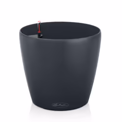 LECHUZA CLASSICO, Pot planter, Freestanding, Polypropylene (PP), Black, Round, Indoor/outdoor