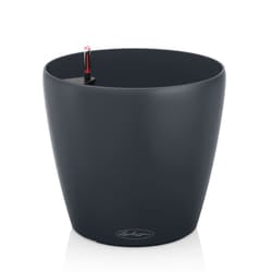 LECHUZA CLASSICO Indoor/outdoor Pot planter Freestanding Polypropylene (PP) Black