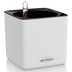 LECHUZA CUBE Color 14 White Poly Resin Table Self-watering Planter H14 L14 W14 cm