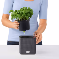 LECHUZA CUBE Color 14 White Poly Resin Table Self-watering Planter H14 L14 W14 cm - Additional view 7