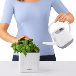 LECHUZA CUBE Color 14 White Poly Resin Table Self-watering Planter H14 L14 W14 cm - Additional view 8