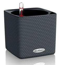 LECHUZA CUBE Color 14 Indoor Pot planter Freestanding Polypropylene (PP) Black