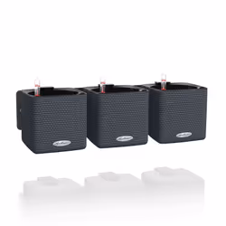 LECHUZA Green Wall Home Kit, Pot planter, Wall-mounted, Polypropylene (PP), Slate, Black, Square, Indoor