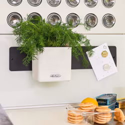 LECHUZA Green Wall Home Kit Indoor Pot planter Wall-mounted Polypropylene (PP), Slate Black - Additional view 4
