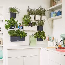 LECHUZA Green Wall Home Kit Indoor Pot planter Wall-mounted Polypropylene (PP), Slate Black - Additional view 5