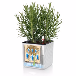 LECHUZA Green Wall Home Kit Indoor Pot planter Wall-mounted Polypropylene (PP), Slate Black - Additional view 6