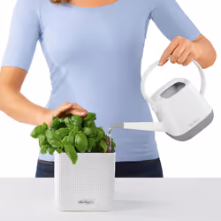 LECHUZA Green Wall Home Kit Indoor Pot planter Wall-mounted Polypropylene (PP), Slate Black - Additional view 7