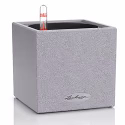 LECHUZA CANTO, Pot planter, Freestanding, Polypropylene (PP), Grey, Square, Indoor/outdoor