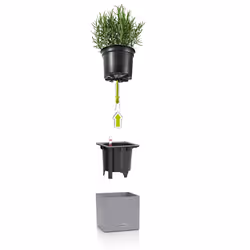 LECHUZA CANTO Indoor/outdoor Pot planter Freestanding Polypropylene (PP) Grey