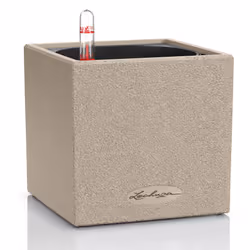 LECHUZA CANTO Indoor/outdoor Pot planter Freestanding Polypropylene (PP) Beige