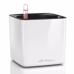 LECHUZA CUBE, Pot planter, Freestanding, Polypropylene (PP), White, Square, Indoor