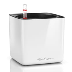 LECHUZA CUBE Indoor Pot planter Freestanding Polypropylene (PP) White