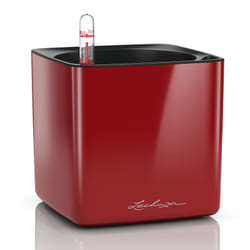 LECHUZA CUBE Indoor Pot planter Freestanding Polypropylene (PP) Red