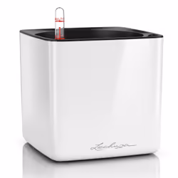 LECHUZA CUBE, Pot planter, Freestanding, Polypropylene (PP), White, Square, Indoor