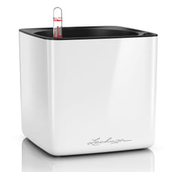 LECHUZA CUBE Indoor Pot planter Freestanding Polypropylene (PP) White