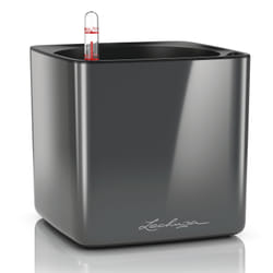 LECHUZA CUBE Indoor Pot planter Freestanding Polypropylene (PP) Charcoal