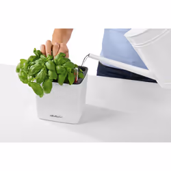LECHUZA CUBE Color 16 Indoor Pot planter Freestanding Polypropylene (PP) White - Additional view 8