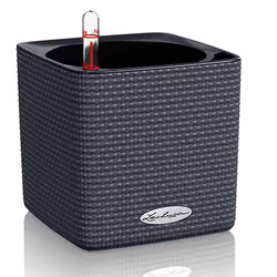 LECHUZA CUBE Color 16, Pot planter, Freestanding, Polypropylene (PP), Black, Indoor/outdoor, Black