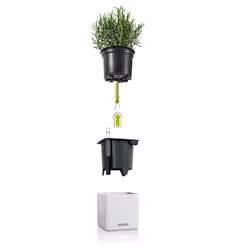 LECHUZA CUBE Color 16 Indoor/outdoor Pot planter Freestanding Polypropylene (PP) Black
