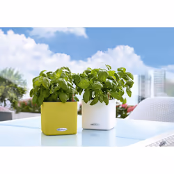 LECHUZA CUBE Color 16 Indoor/outdoor Pot planter Freestanding Polypropylene (PP) Black - Additional view 4
