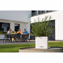 LECHUZA CUBE Color 16 Indoor/outdoor Pot planter Freestanding Polypropylene (PP) Black - Additional view 8