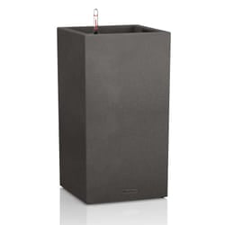 LECHUZA CANTO Indoor/outdoor Box planter Freestanding Plastic Black, Graphite