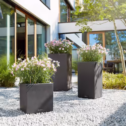 LECHUZA Canto Stone 40 high Indoor/outdoor Box planter Freestanding Polypropylene (PP) Black, Graphite - Additional view 8