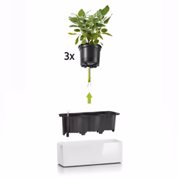 LECHUZA CUBE Indoor Pot planter Freestanding Polypropylene (PP) White