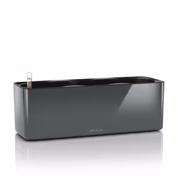 LECHUZA CUBE, Pot planter, Freestanding, Polypropylene (PP), Graphite, Rectangle, Indoor