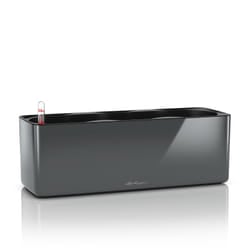 LECHUZA CUBE Indoor Pot planter Freestanding Polypropylene (PP) Graphite