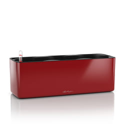 LECHUZA CUBE Indoor Pot planter Freestanding Polypropylene (PP) Red