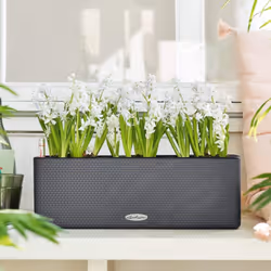 LECHUZA CUBE Color Triple Slate Hanging Poly Resin Table Self-watering Planter H14 L40 W14 cm - Additional view 6